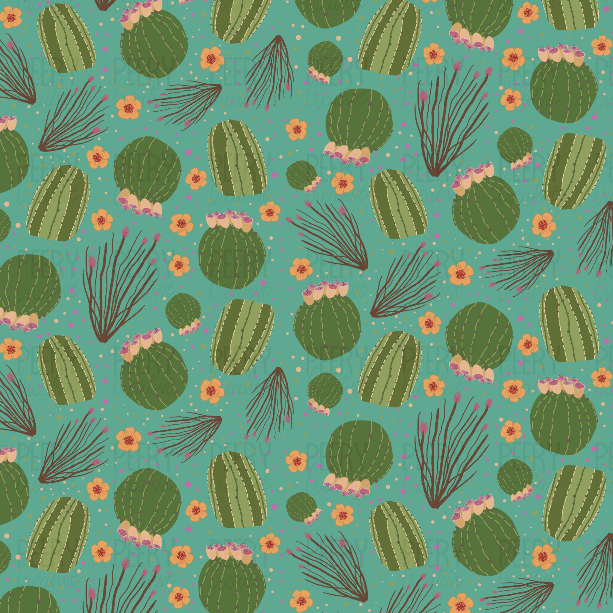 Barrel Cactus Pattern Portfolio