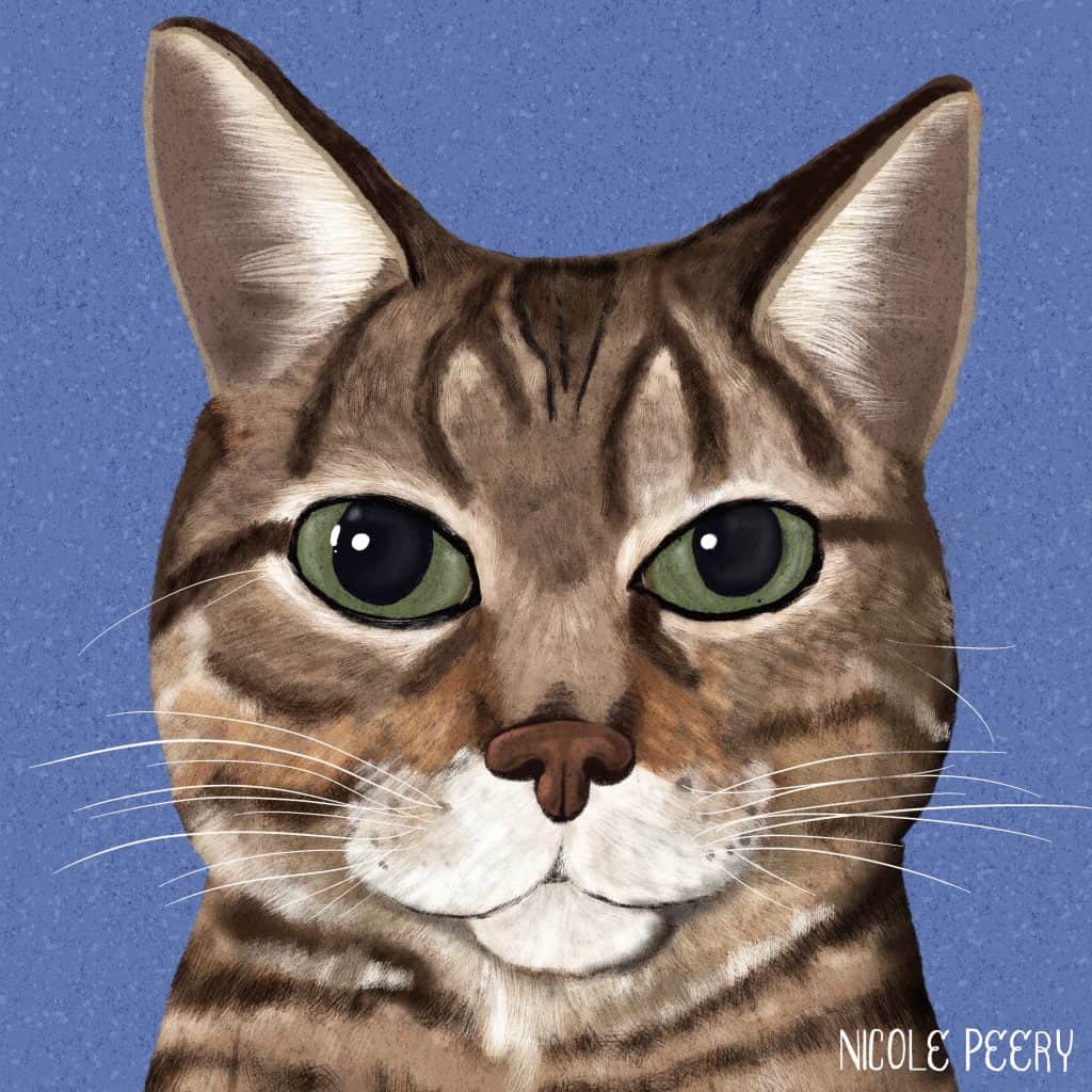 Cat portrait drawn in Procreate with Bardot brushes. Learning digital art on the iPad with the best Skillshare Procreate courses for beginners.