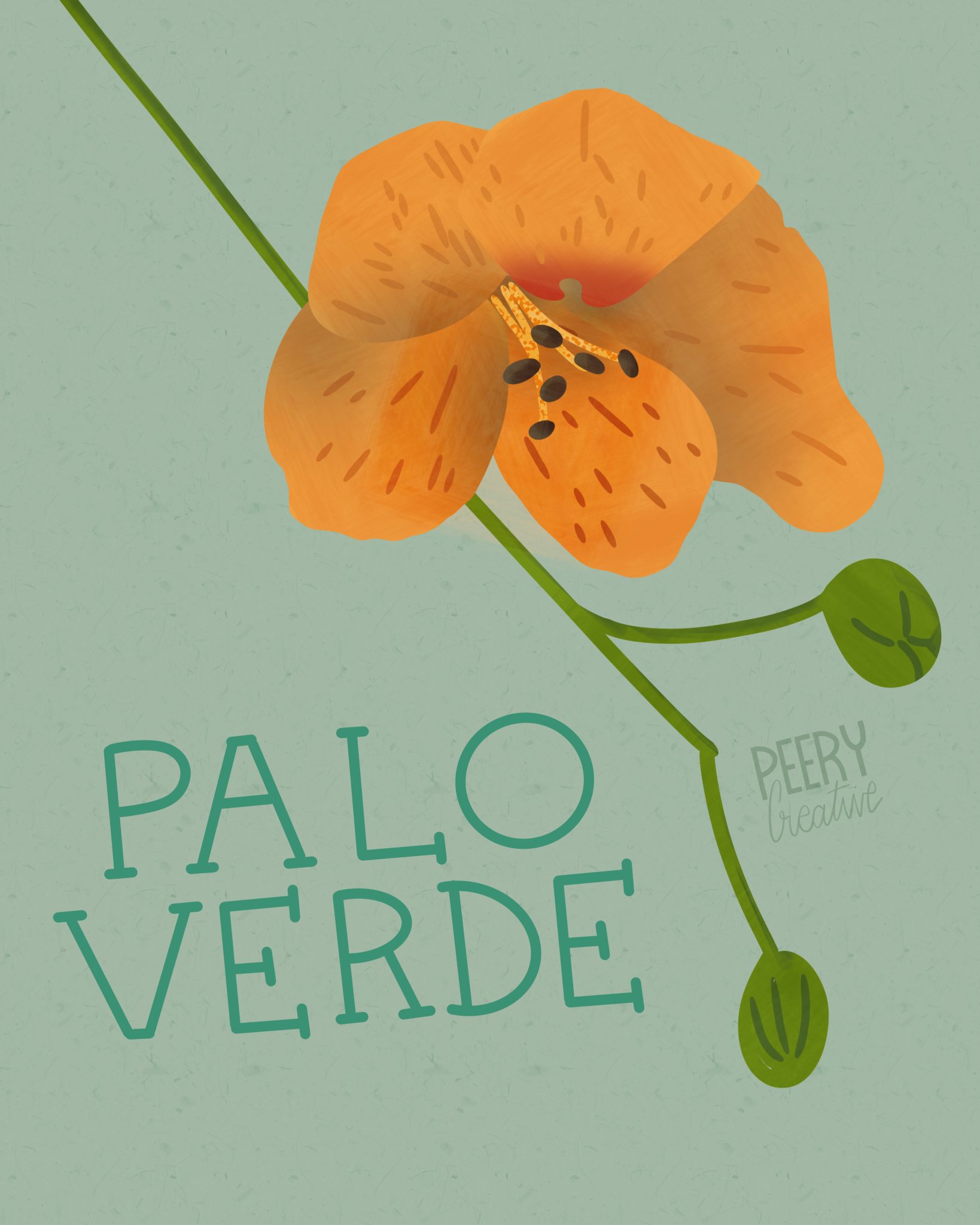 Palo Verde