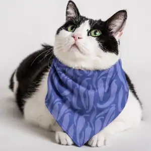 Black and white cat wearing a purple chili pepper pattern pet bandana collar, hand-drawn Southwest design by Tucson illustrator Nicole Peery