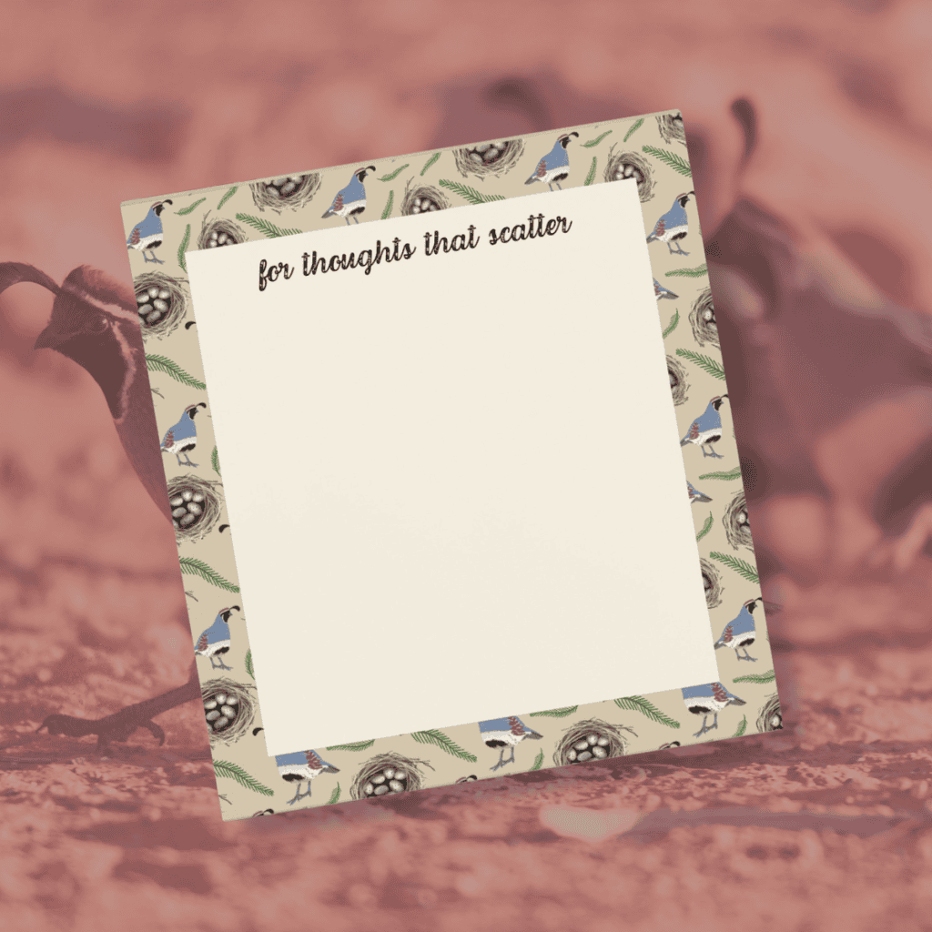 Gambel’s Quail Notepad | Sonoran Desert Bird Art