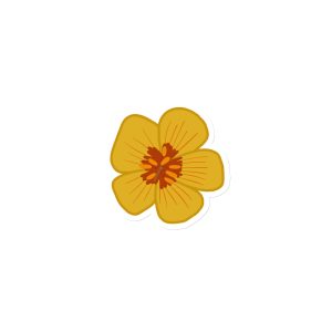 hand drawn arizona poppy magnet art by nicole peery