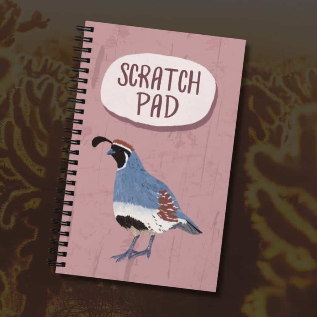 Funny Arizona Gambel's quail spiral notebook, hand-drawn bird illustration by Tucson illustrator Nicole Peery