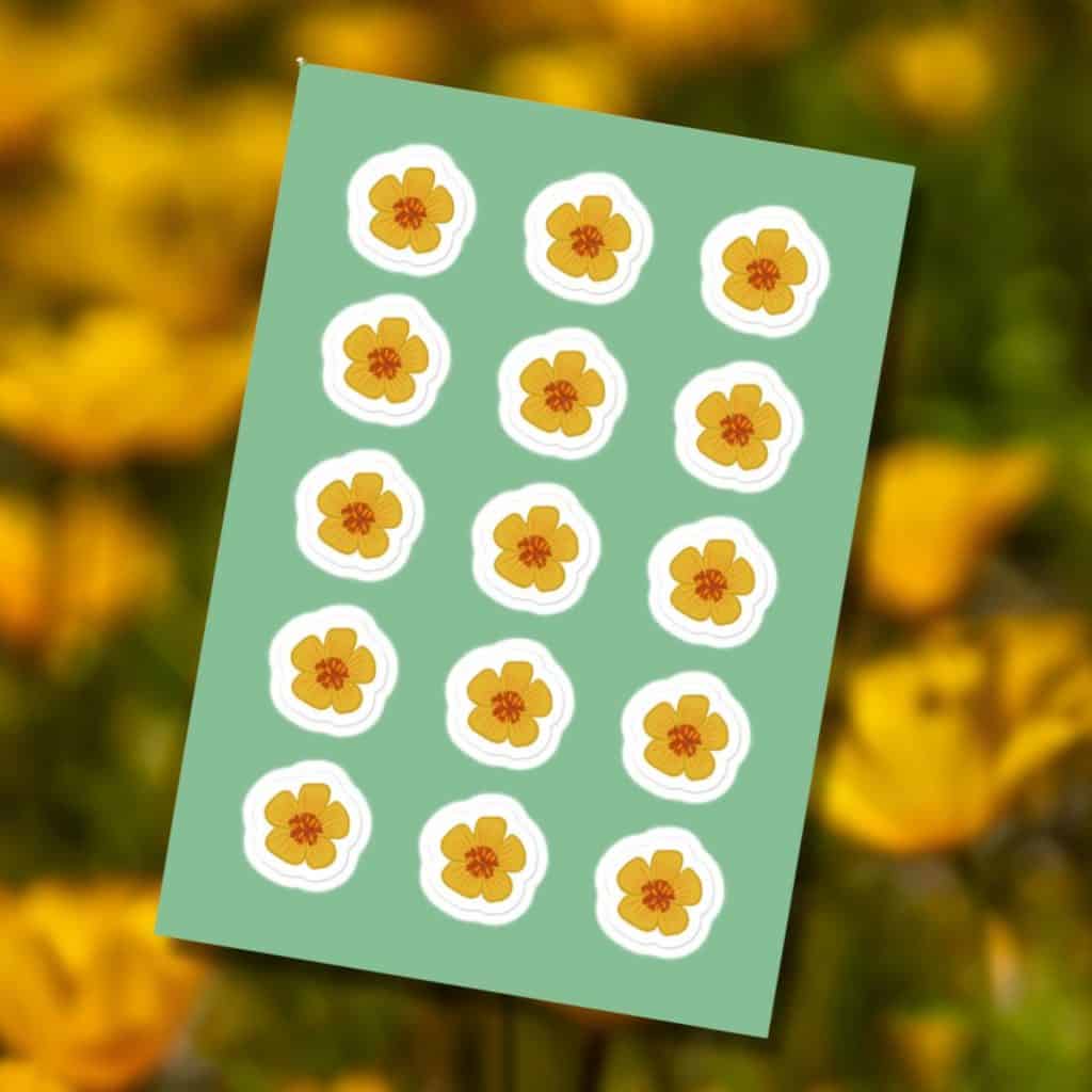 Hand-drawn Arizona poppies wildflower sticker sheet, Southwest desert floral illustration by Tucson illustrator Nicole Peery