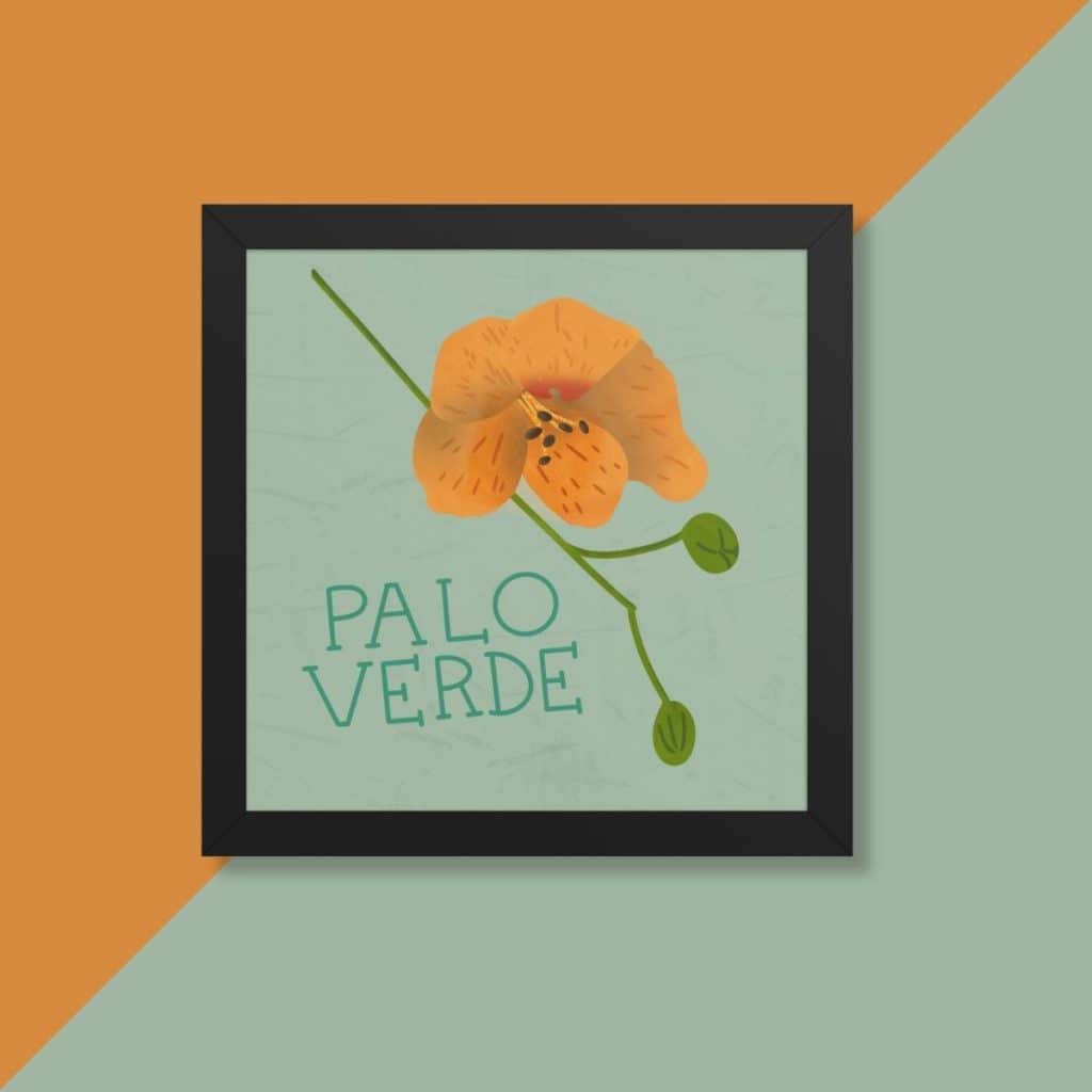 Hand-drawn hand-lettered Arizona palo verde flower art print, desert botanical wall art by Tucson illustrator Nicole Peery