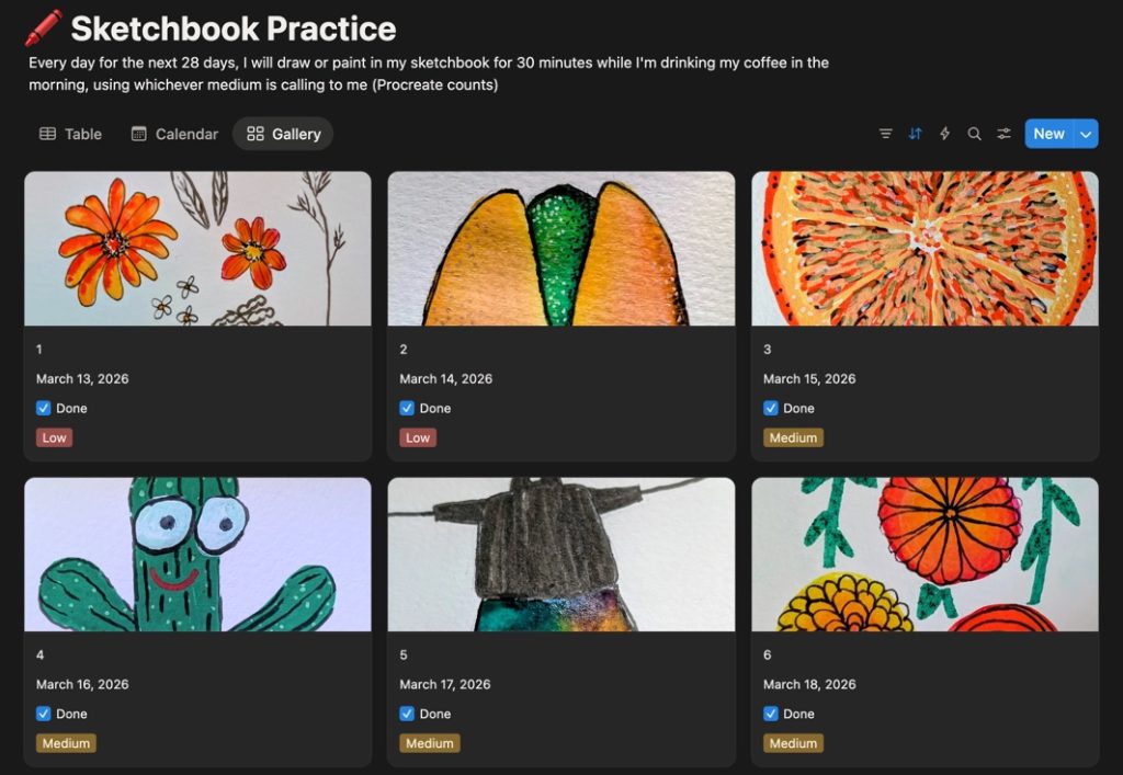 notion 28 day project gallery view