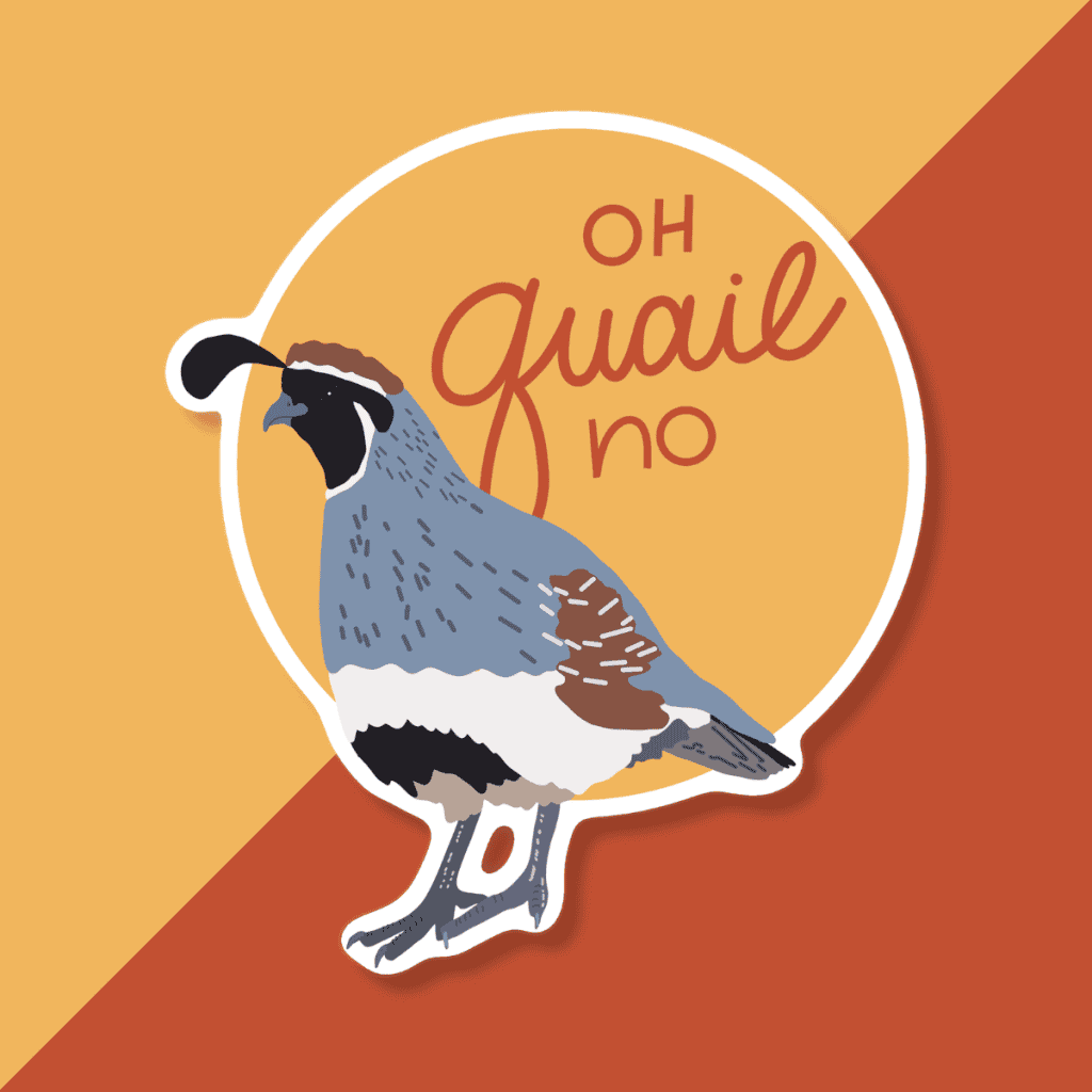 Gambel's quail hand-drawn die-cut sticker with "oh quail no" lettering on white background