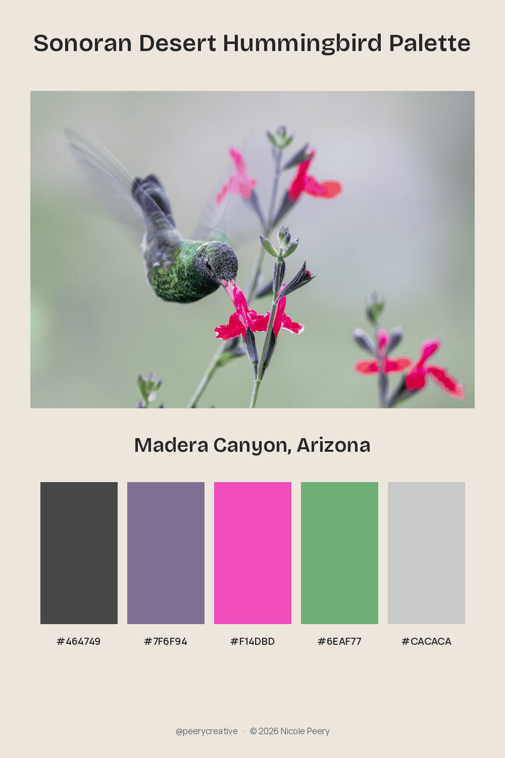 Pinterest Hidden Image