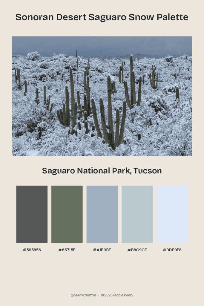sonoran desert color palette featuring saguaros and snow