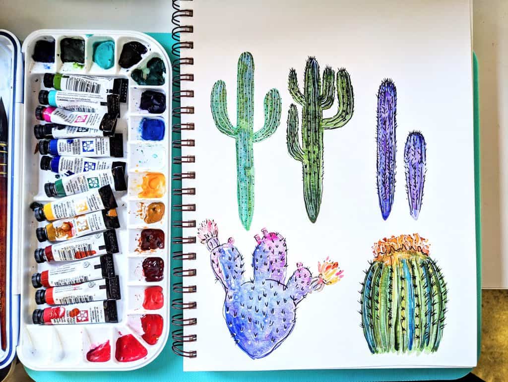 sonoran desert cactus watercolor illustrations