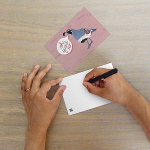 Gambels quail postcard with hand-drawn bird illustration and oh quail no hand-lettered text on dusty pink background