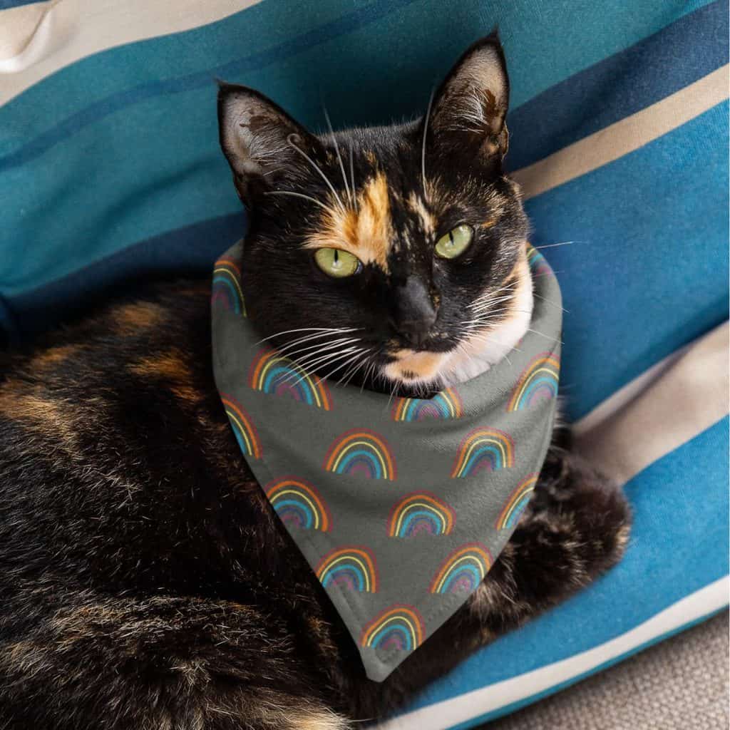 tortie cat wearing a hand-drawn monsoon rainbow pet bandana collar, Sonoran Desert art from Tucson Arizona